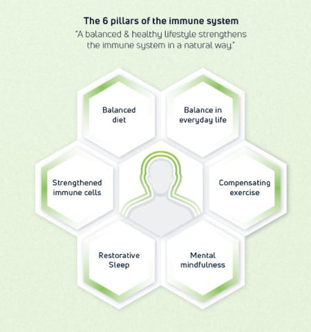 The 6 Pillars of the Immune System