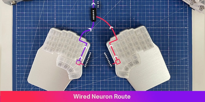 Wired Neuron Route