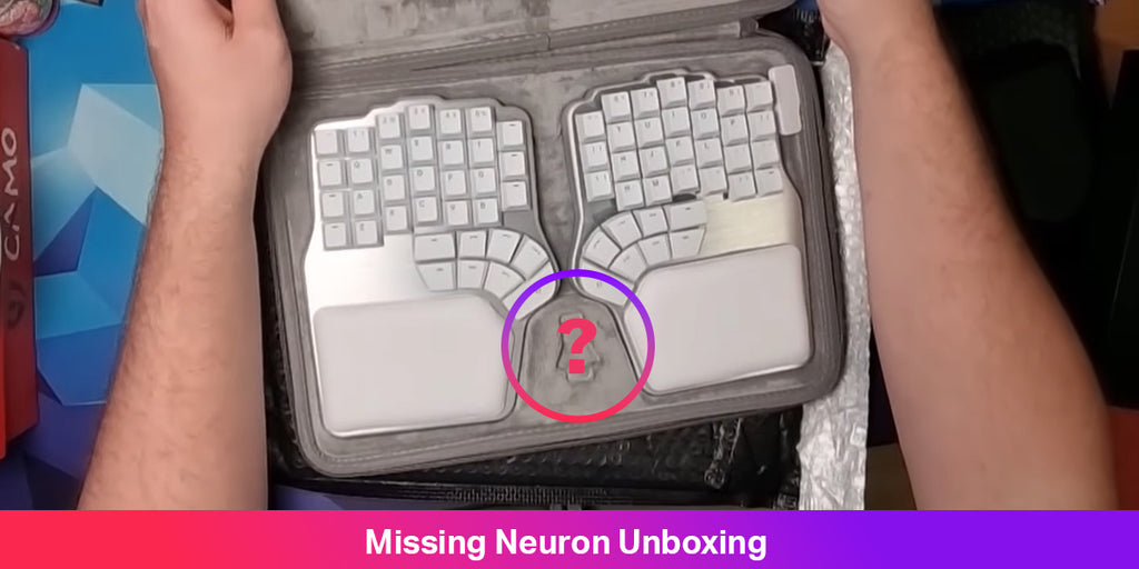 Neuron missing