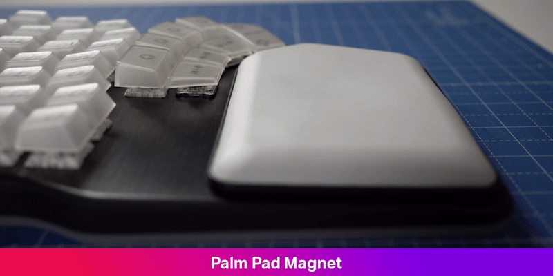Defy Palm Pad Magnet