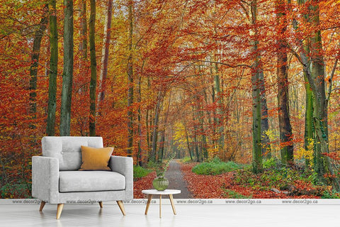 orange forest nature wallpaper mural canada winnipeg