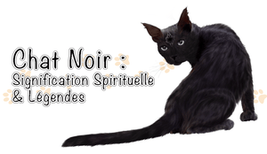 Chat Noir Signification Spirituelle Legendes