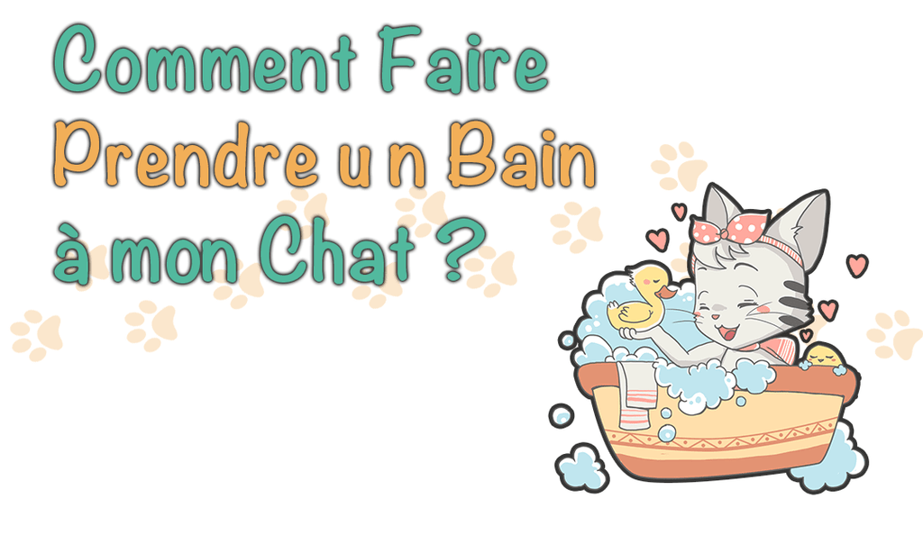 Comment Faire Prendre Un Bain A Mon Chat Guide Complet