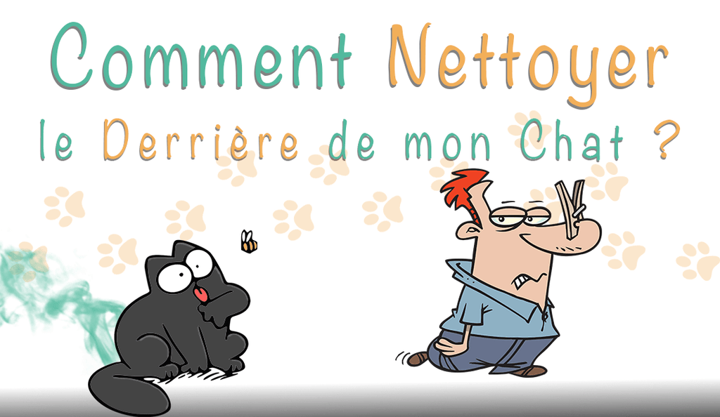 Comment Nettoyer Le Derriere De Mon Chat Mon Jeu Pour Chat