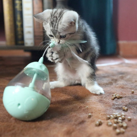 Distributeur Croquettes Chat Cloche Mon Jeu Pour Chat