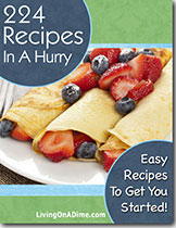 224 Recipes In A Hurry e-Book