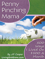 Penny Pinching Mama: 500 ways I lived on $500 a month