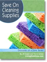 Save On Cleaning Supplies e-Book