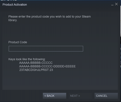 Product activation window requesting game keys.