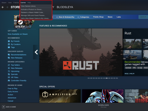 Existem diferentes menus que o conduzem a determinadas partes da plataforma Steam.