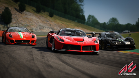 There are multiplayer options, single-player with many, many different versions - check out what’s the best for you in Assetto Corsa!
