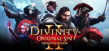 Divinity Original Sin 2 edition steam cd key logo