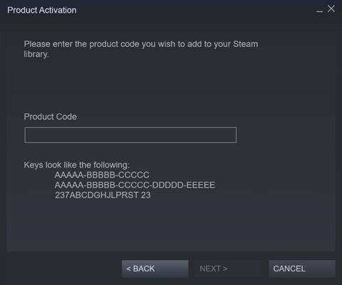 Cliente de ativação do produto onde se escreve a chave Steam.