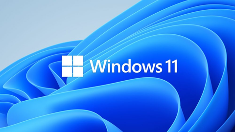 Windows 11 Pro OEM Key - The Best Operating System! – RoyalCDKeys