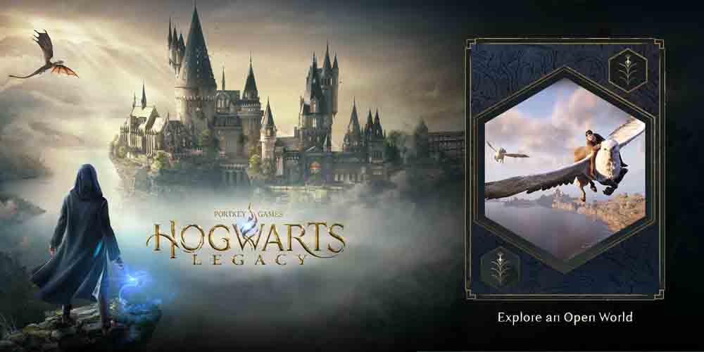 Warner Bros Hogwarts Legacy Standard