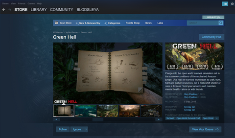 La piattaforma Steam per riscattare una chiave Steam globale.