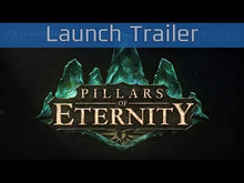 pillars of eternity hero edition steam