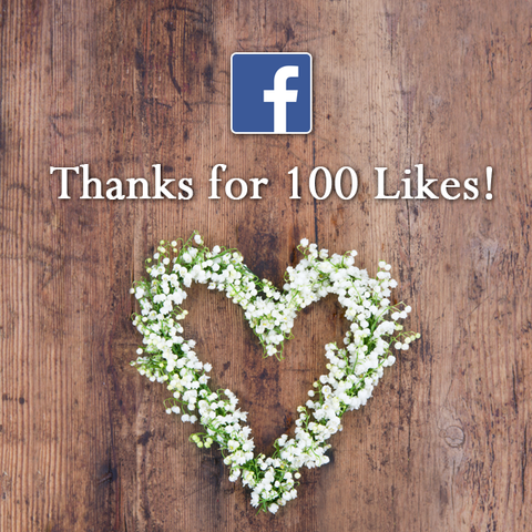 100 Likes on Facebook! – Les Fleurs par Pierre