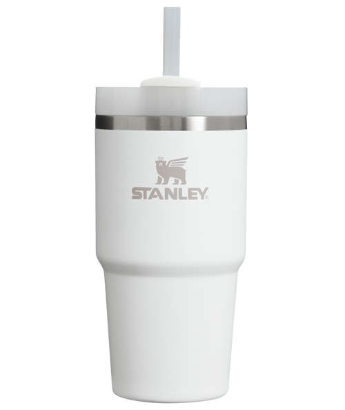 New Product Example: Stanley Quencher H2.0 FlowState - Insight To Action