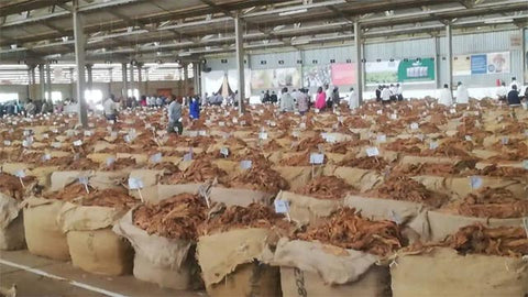 African tobacco lots for sale
