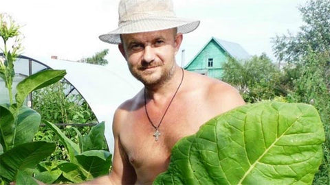 Russian tobacco grower