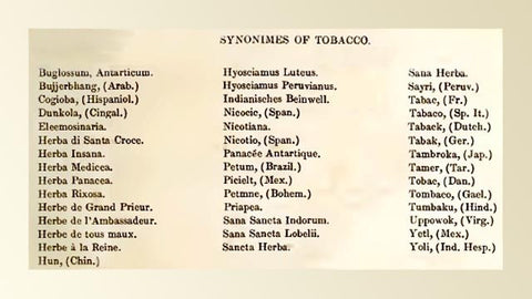 Synonyms for Tobacco