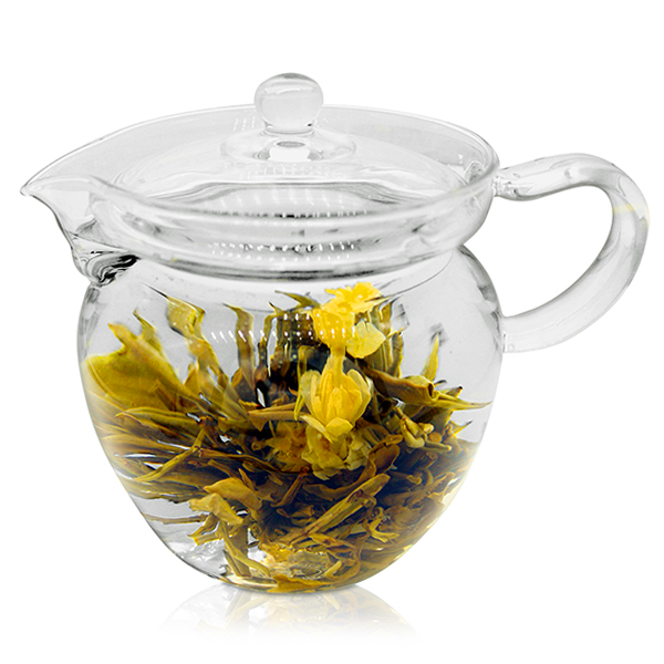 glass teapot australia