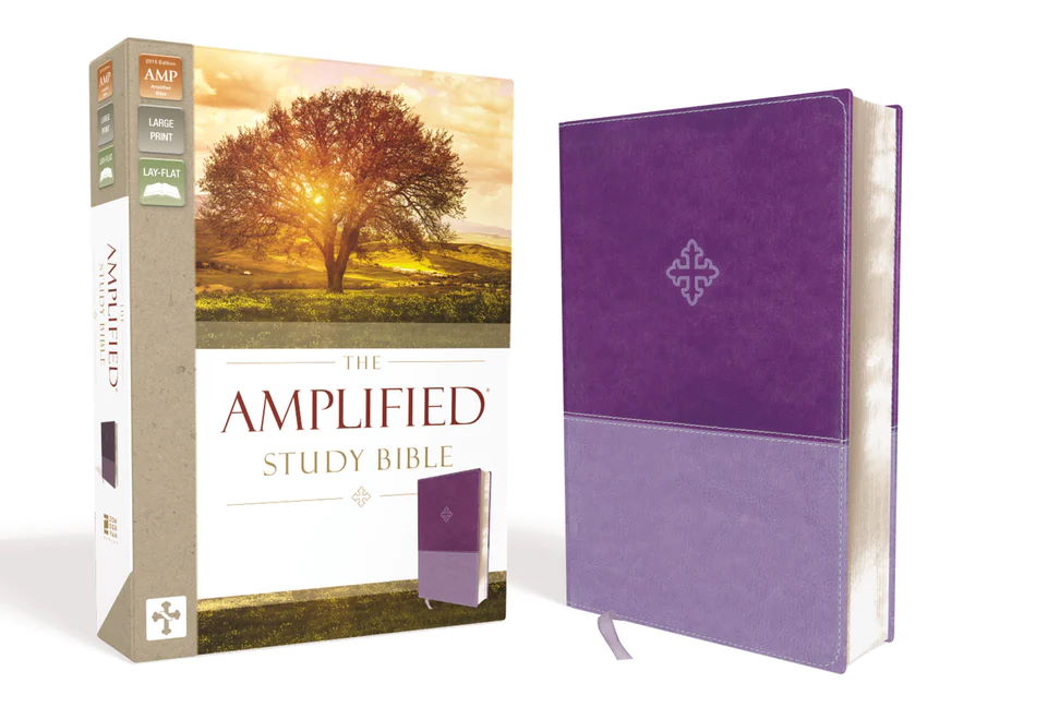 e sword amplified bible