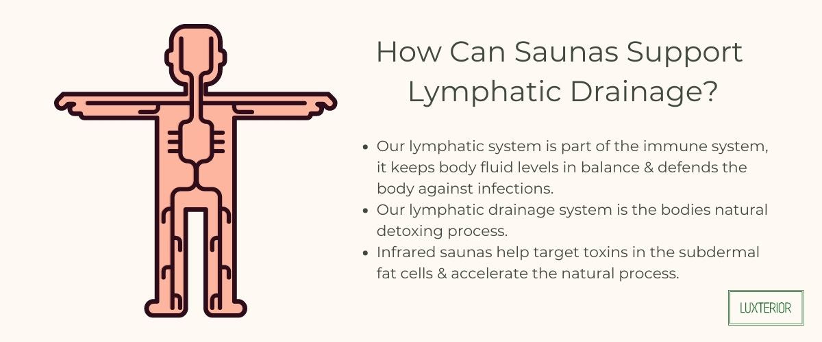 How can saunas support lymphatic drainage - luxterior