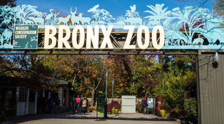 bronx zoo 