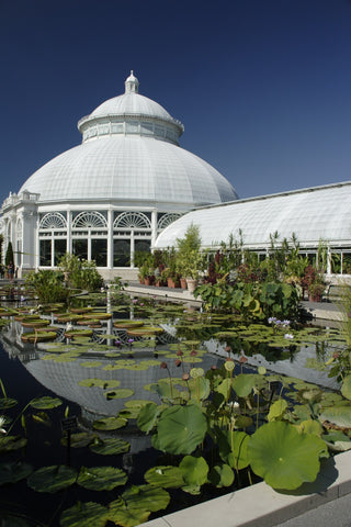 botanical garden 