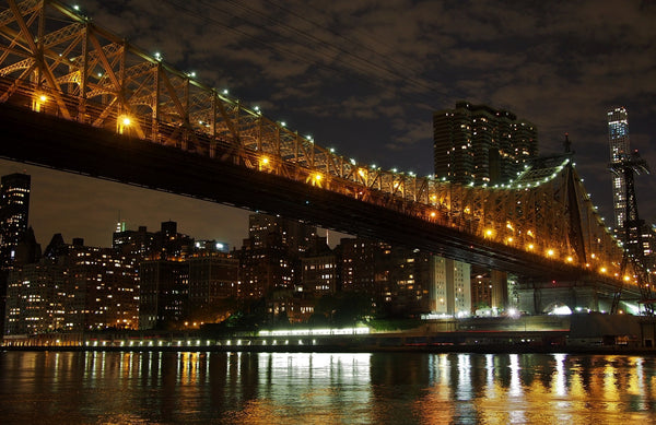 roosevelt island