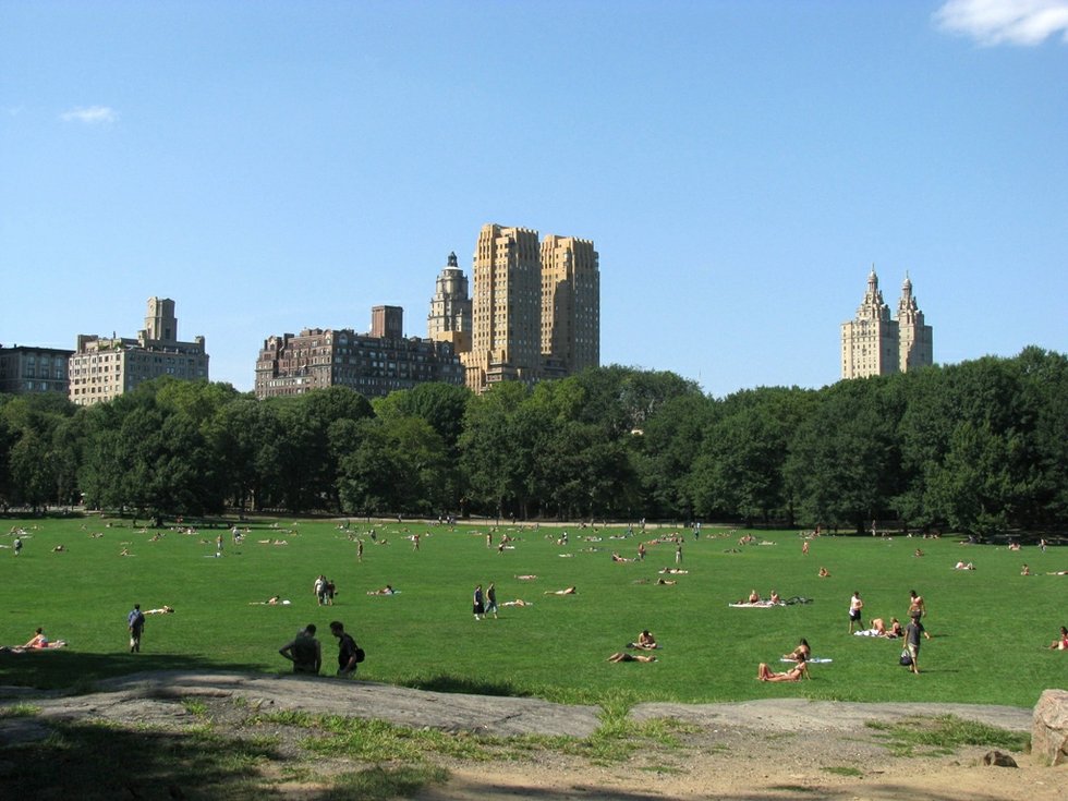 Sheep Meadow