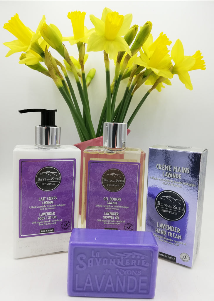 Immortelle essential oil - MEA Provence Valensole - Expo lavande