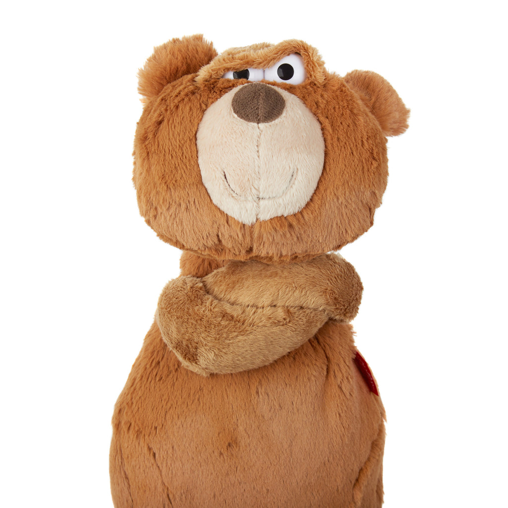 mood pet teddy