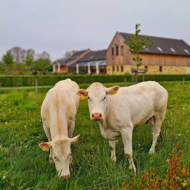 Omgeving Tuinrestaurant Oude Pastorie