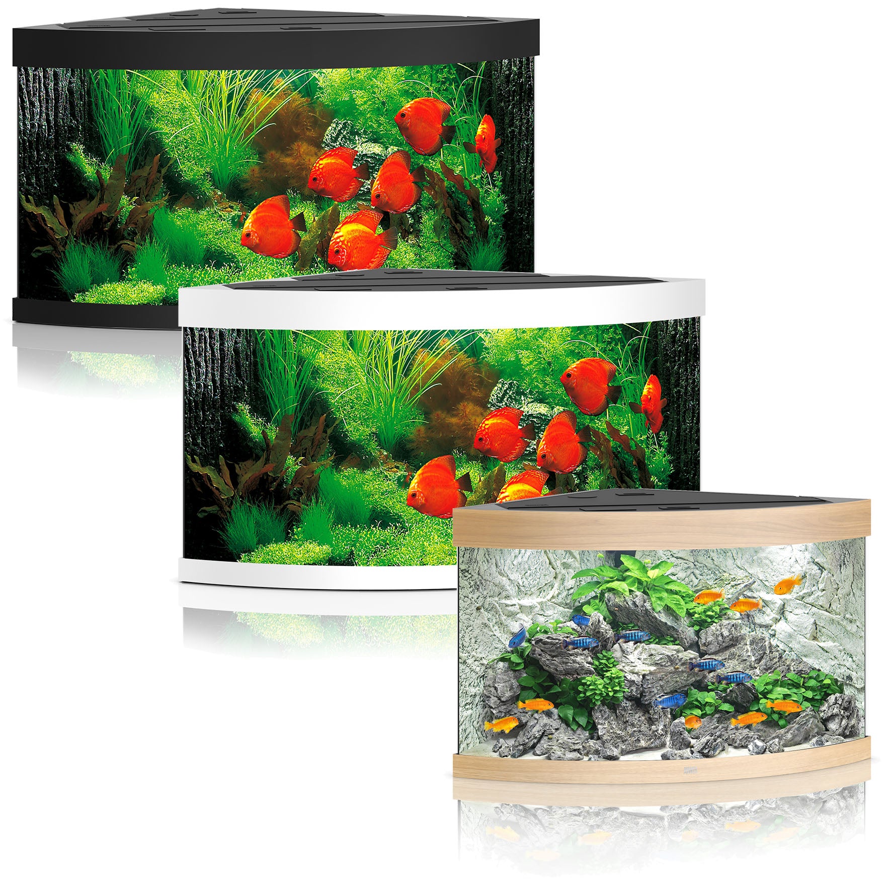 Trigon 350 LED Aquarium – Nature Aquariums