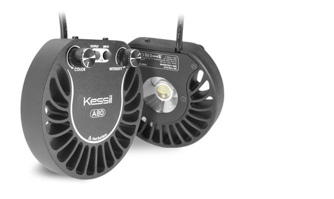 Kessil A80 Tuna Blue Gooseneck(中古)