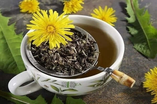 Dandelion Tea