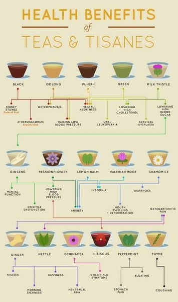 Different Types of Tea