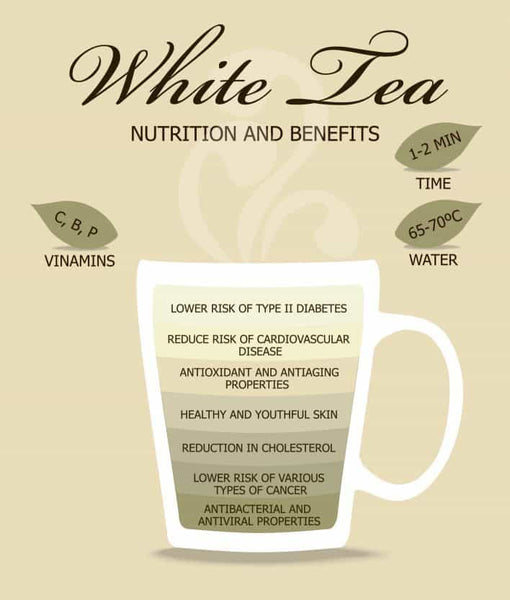 White Tea Benefits