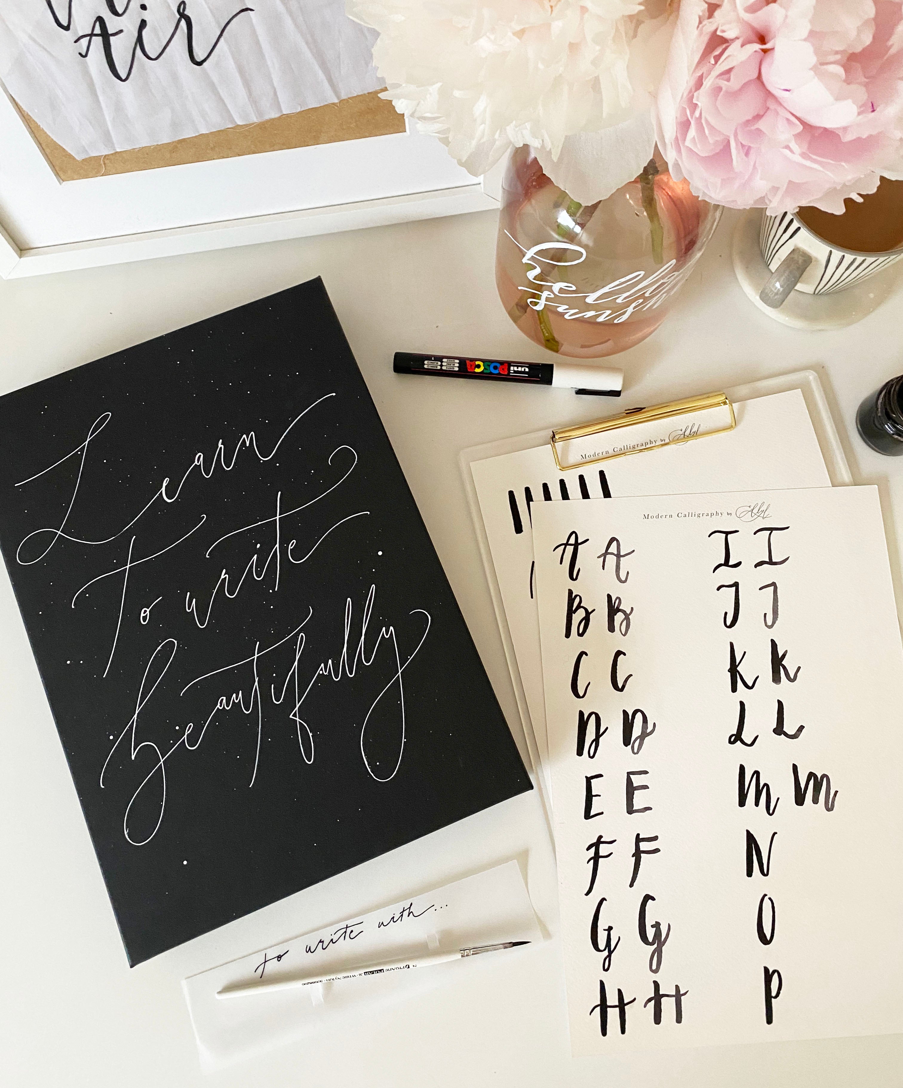 Brush Lettering Calligraphy Set with Book and Pens — Wildflower Art Studio