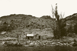 Chill Dirt Features Central Otago