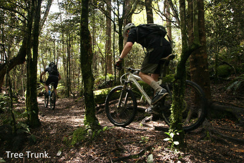 Chill Dirt Features Four Days in Taupo by Paul Smith