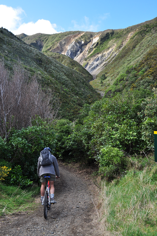 Chill Dirt Features Rimutaka Cycle Trail