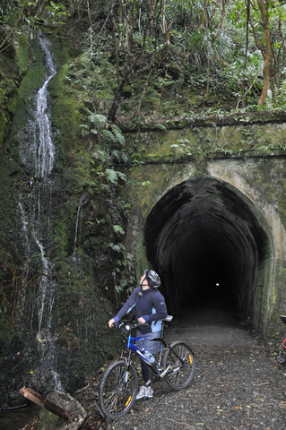 Chill Dirt Features Rimutaka Cycle Trail