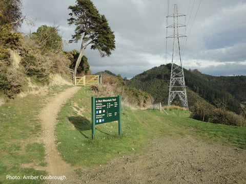 Chill Dirt Features Dun Mountain Trail By Reuben Williams