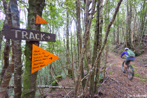 Chill Dirt Features - Riding Through Reefton and Blackball By Dave Mitchell