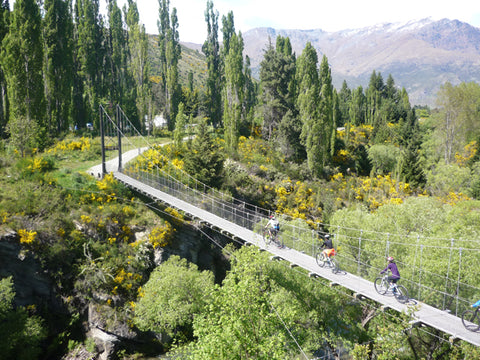 Chill Dirt Features Queenstown Around the Basin