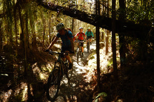 Chill Dirt Features - Mostly Downhill. Riding the Heaphy Track. With Kids. By Laurence Mote.